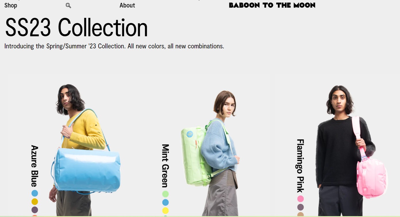 Baboon To The Moon 